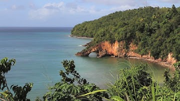 Global Commons: Solutions for a Crowded Planet