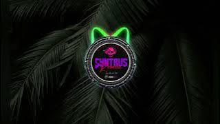 MAMAJA NOGU_(SYNTRUS RECORDS)_#677 #music.mp3