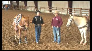 TotalTeamRoping.com Sampler  4/23/2012