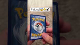 Pidgey?π± #pokemonchannel #mewtwo #pokemon #pokemontcg #pokemoncards #pikachu #charizard #rayquaza