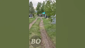 Суслики продолжают рыть норы на Южном кладбище
