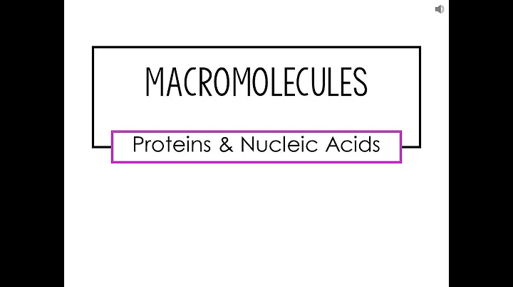 Which term identifies a reaction that breaks apart macromolecules? (2023)