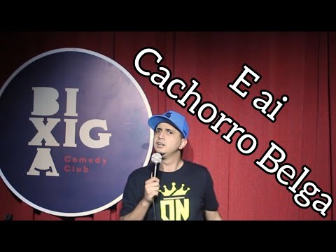 O Cachorro belga sendo reconhecido