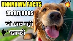 UNKNOWN Dog facts / Interesting facts for dogs in hindi / Interesting facts About dogs