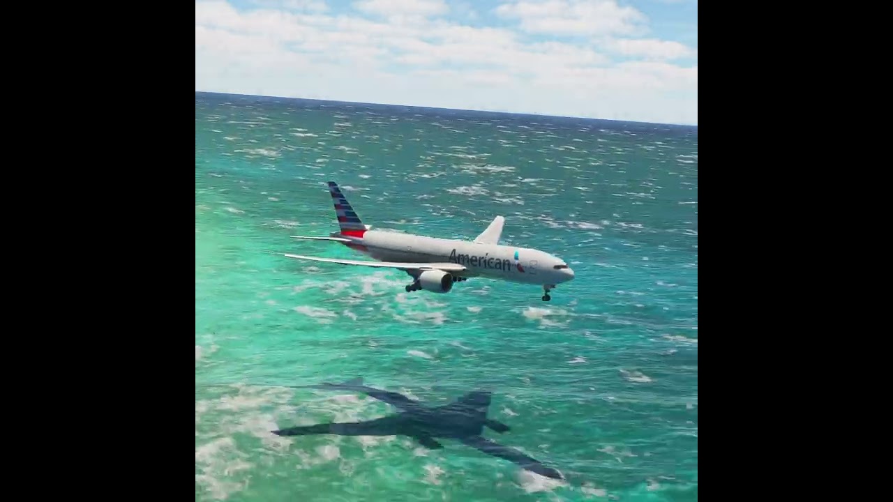 the pilot's actions endangered the plane's passengers EP250