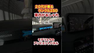 20代が乗るランクル250がおしゃれ、オプションのアンビエントパネルがいいね! #automobile