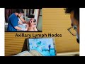 Axillary Lymph Nodes