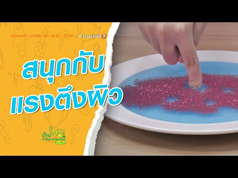 สนุกกับแรงตึงผิว : บ้านนักวิทยาศาสตร์น้อย (4 ก.ค. 64)