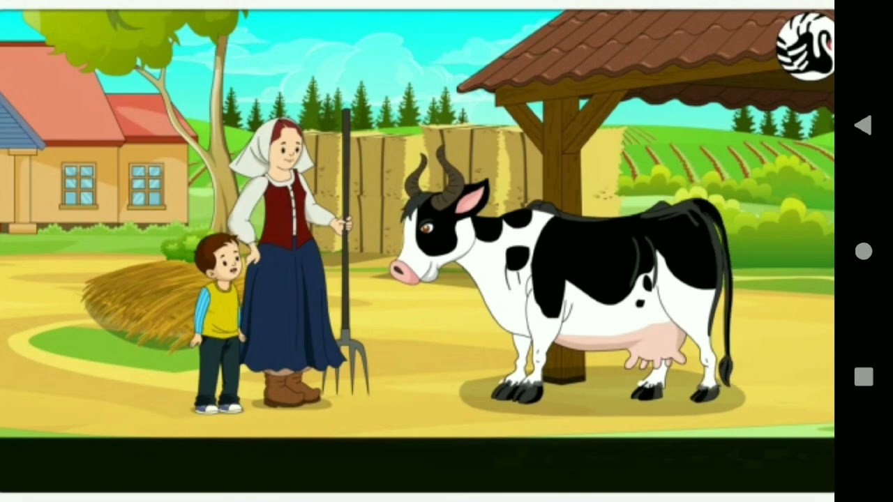 Daisy, the Cow