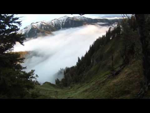 ნეძვის აღკვეთილი