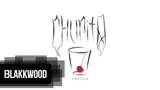Protiva - MP3Fiber (prod. Case-g)
