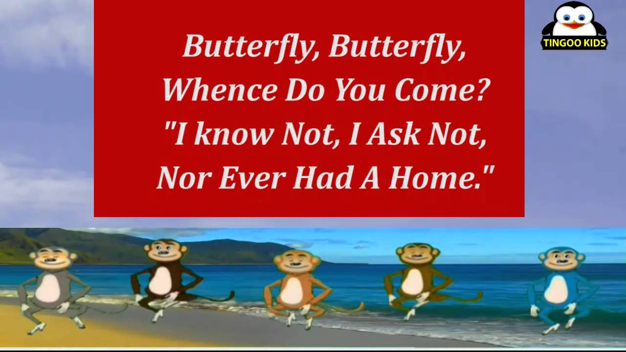 Butterfly Butterfly Nursery Rhymes Karaoke Songs By TingooKids YouTube