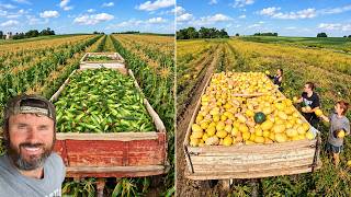 We Harvested 10,000 Pounds of Sweet Corn and Winter Squash