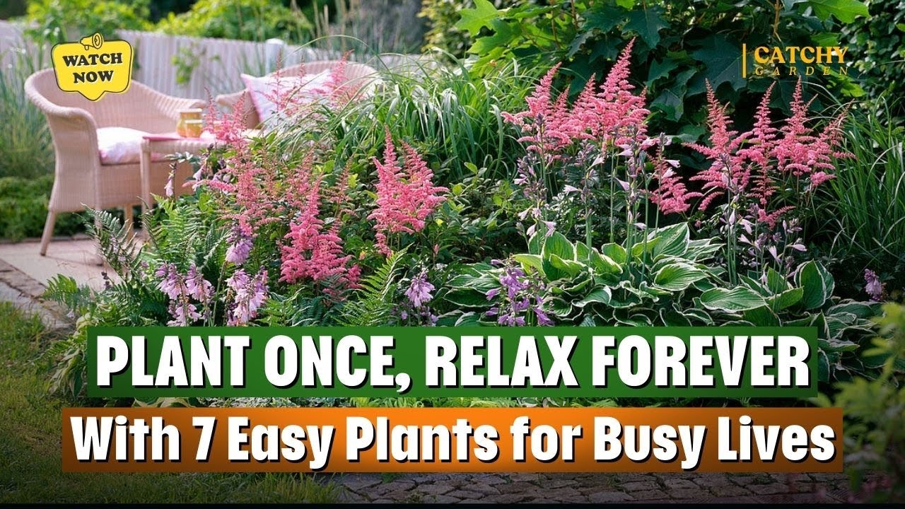 👉 Слишком много дел, чтобы заниматься садоводством? 🌿 Эти 7 растений прекрасно себя чувствуют, ес...