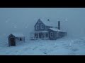 Heavy Blizzard Storm at Night | Howling Wind & Blowing Snow | Sounds for Sleep, Study & Relaxation