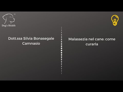 Video: Ulteriori Informazioni Sulla SARDS Nei Cani