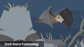 Is The Jersey Devil a Hammerhead Bat?