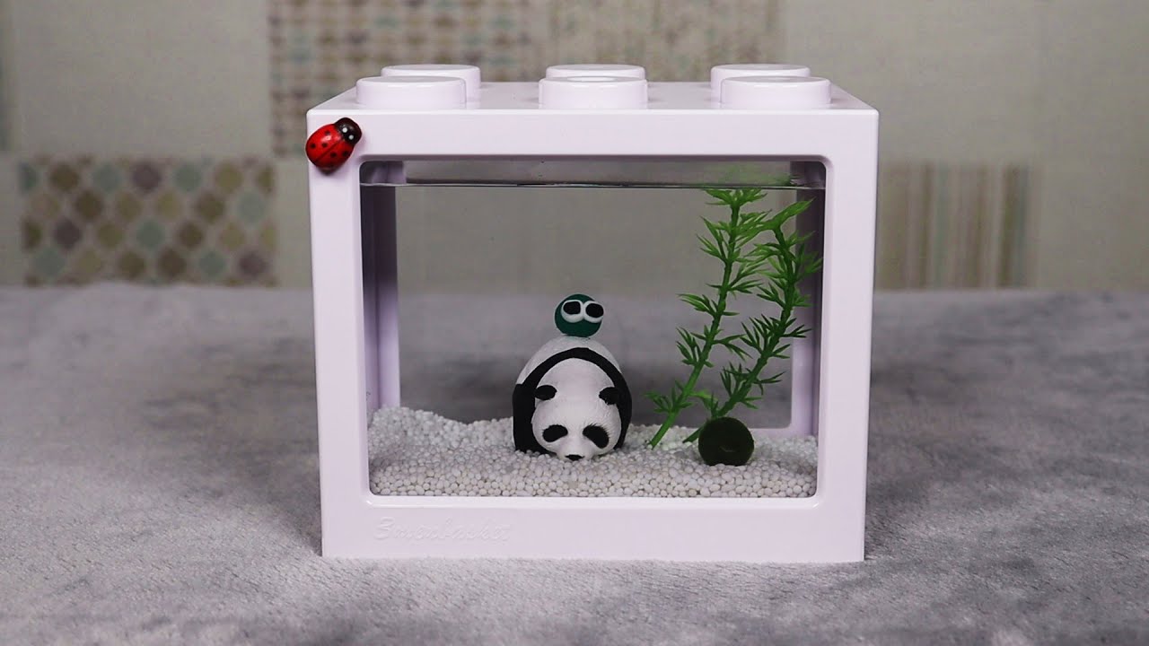 [ASMR] 마리모 선물 언박싱 ASMR│Unboxing gift (Talking ASMR) │Marimo 🍀 - YouTube