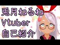 【自己紹介(仮)】はじめまして兎月ねるねです!【Vtuber】