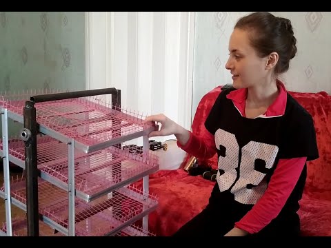 ПРОМЫШЛЕННЫЙ ИНКУБАТОР (НАЧАЛО).