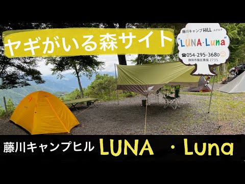 静岡　藤川キャンプヒル　LUNALUNAで森林浴をしながらのキャンプで夏を楽しんだっていう動画。