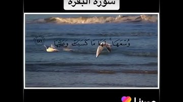 ما اجمل صوت القرآن الكريم اللهم اجعل القرآن الكريم  ربيع قلوبنا ونور صدورنا وجلاء همومنا 🤲🤲❤️