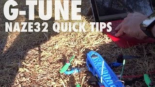 Naze32 Quick Tips - G-Tune