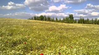 Toraman Köyü (Aliye Akkılıç - Dıv Dıv)