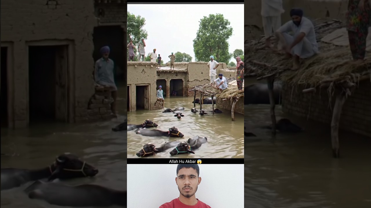 '' Allah hu Akbar 😱 '' #shortsfeed #trending #muslimcontent #duet #ilovemohammadﷺ #panjab