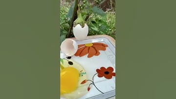 eig tree #shorts #funny