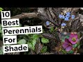 Landscape Ideas Backyard Shaded