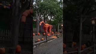 Best Pumpkin Patch in the Midwest | Vala’s Pumpkin Patch