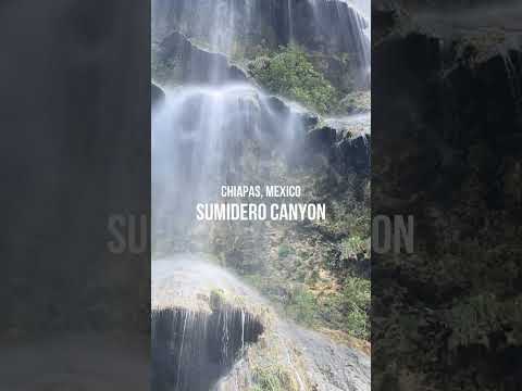 Video: Sumidero Canyon ազգային պարկ. Ամբողջական ուղեցույց