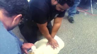 Greenville CPR Mannequin Challenge 2016 HQ