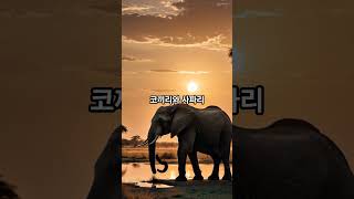 한국인이 잘 모르는 해외 숨은 명소