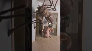 DON'T BE AFRAID! (Spider vs Squirrel)