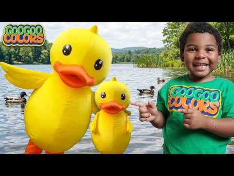 Can You Find the Ducklings? Interactive Hide & Seek Game for Kids