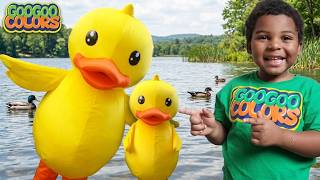 Can You Find the Ducklings? Interactive Hide & Seek Game for Kids