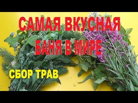 Самая лучшая баня. Сбор трав.