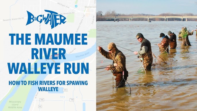 Walleye run bringing anglers from across the country to the Maumee