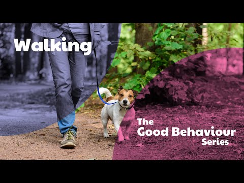 Walking - The Good Behaviour Series by Purely Pets