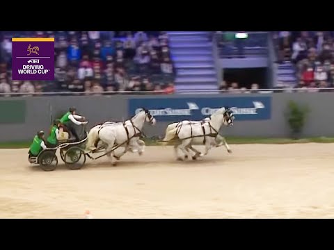 Bram Unbeatable FEI Driving World Cup Geneva