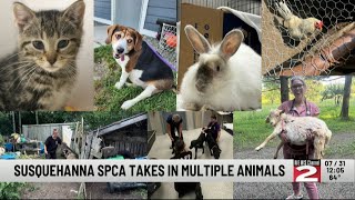 Susquehanna SPCA Takes in Multiple Animals