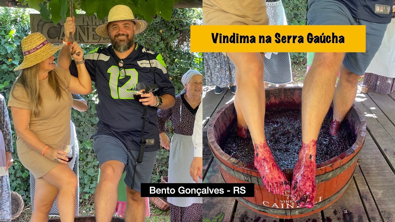 Vindima em Bento Gonçalves - Experiência inesquecível na época do ano mais alegre da Serra Gaúcha