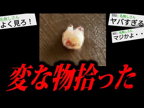 【鳥肌】庭でとんでもないものを拾ってしまった末路が怖すぎる...