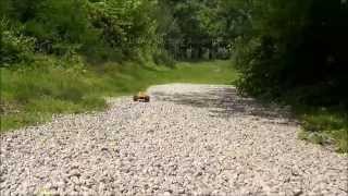 LiteHawk BRUTE 2WD Monster Truck