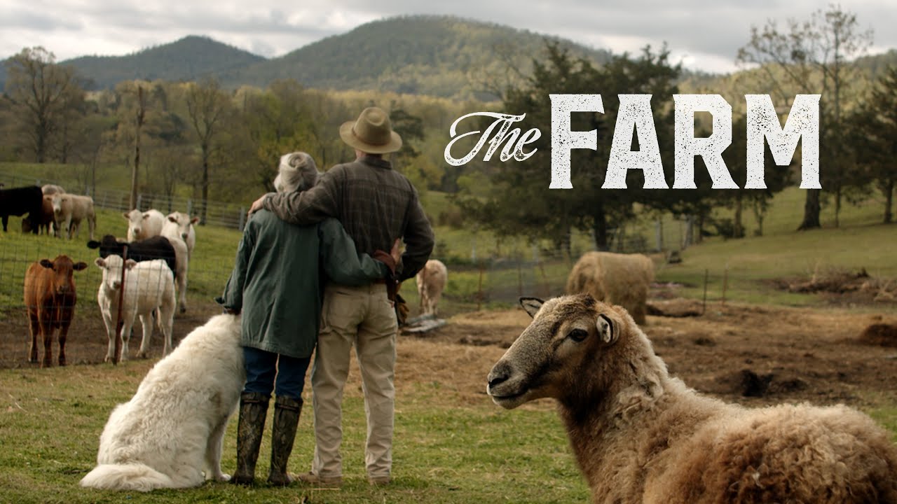 The Farm - Loving People, Just the Way They Are