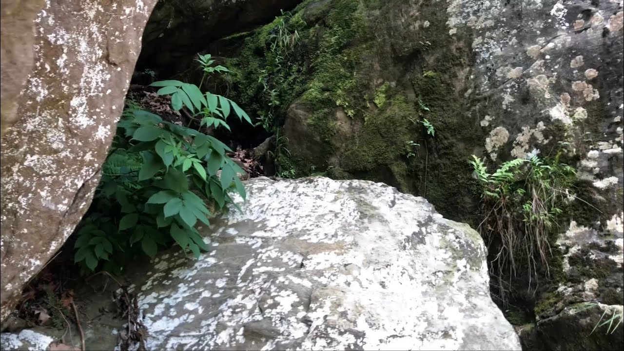 Drizzle Ridge Return to Drizzle Ridge w/ Maximos: The Cave of Mysteries (Read Desc ...