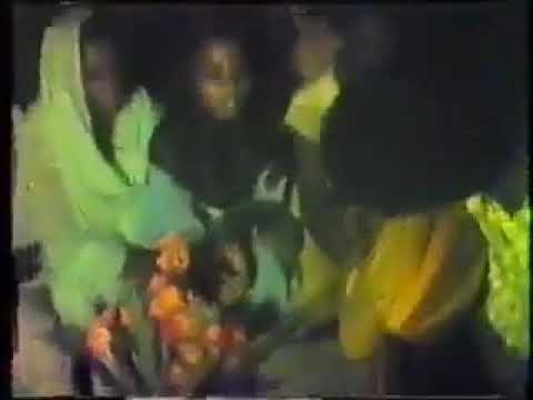 محمود عبد العزيز الفرقة من بكره