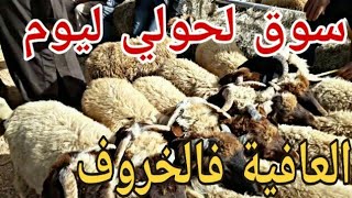 سوق الحولي ليوم 2020 حولي صردي sheep sardi عجول بلادنا 3joul bladna حولي صردي القراقرة